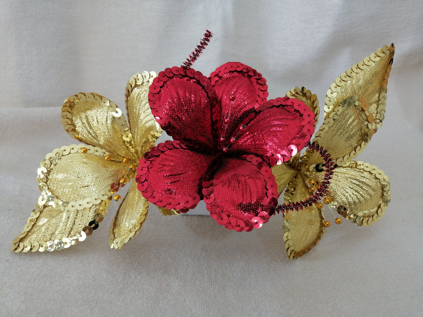 Combs for the Barranquilla Carnival: The Barranquilla Touch for Your Hair