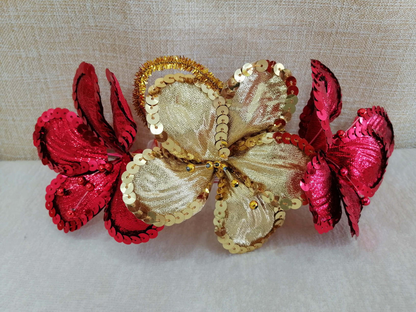 Peignes pour le Carnaval de Barranquilla : la touche Barranquilla pour vos cheveux