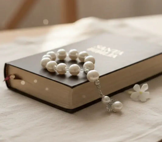 denario católico biblia 